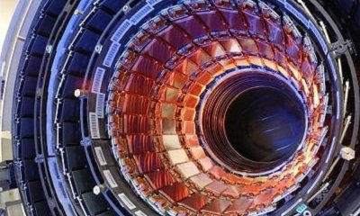 A photograph of the CMS tracker's inner barrel.