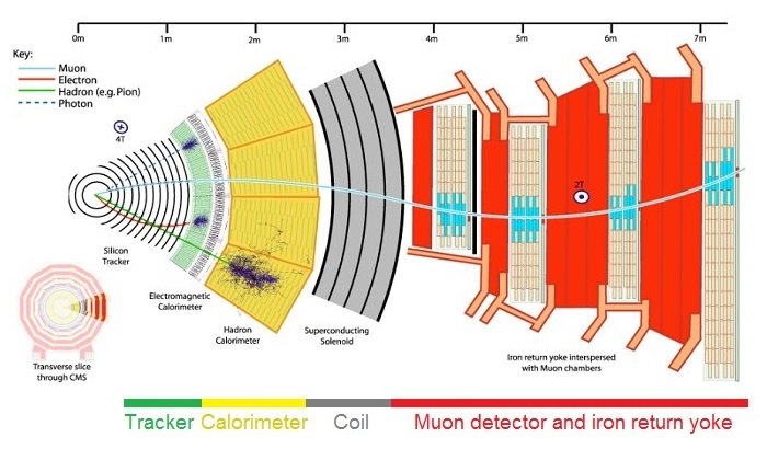 A diagram of the CMS, showing the tracker, calorimeter, coil, muon detector, and iron return yoke.